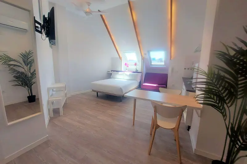 Estudio amplio bajo cubierta con cama, mesa de comedor y plantas